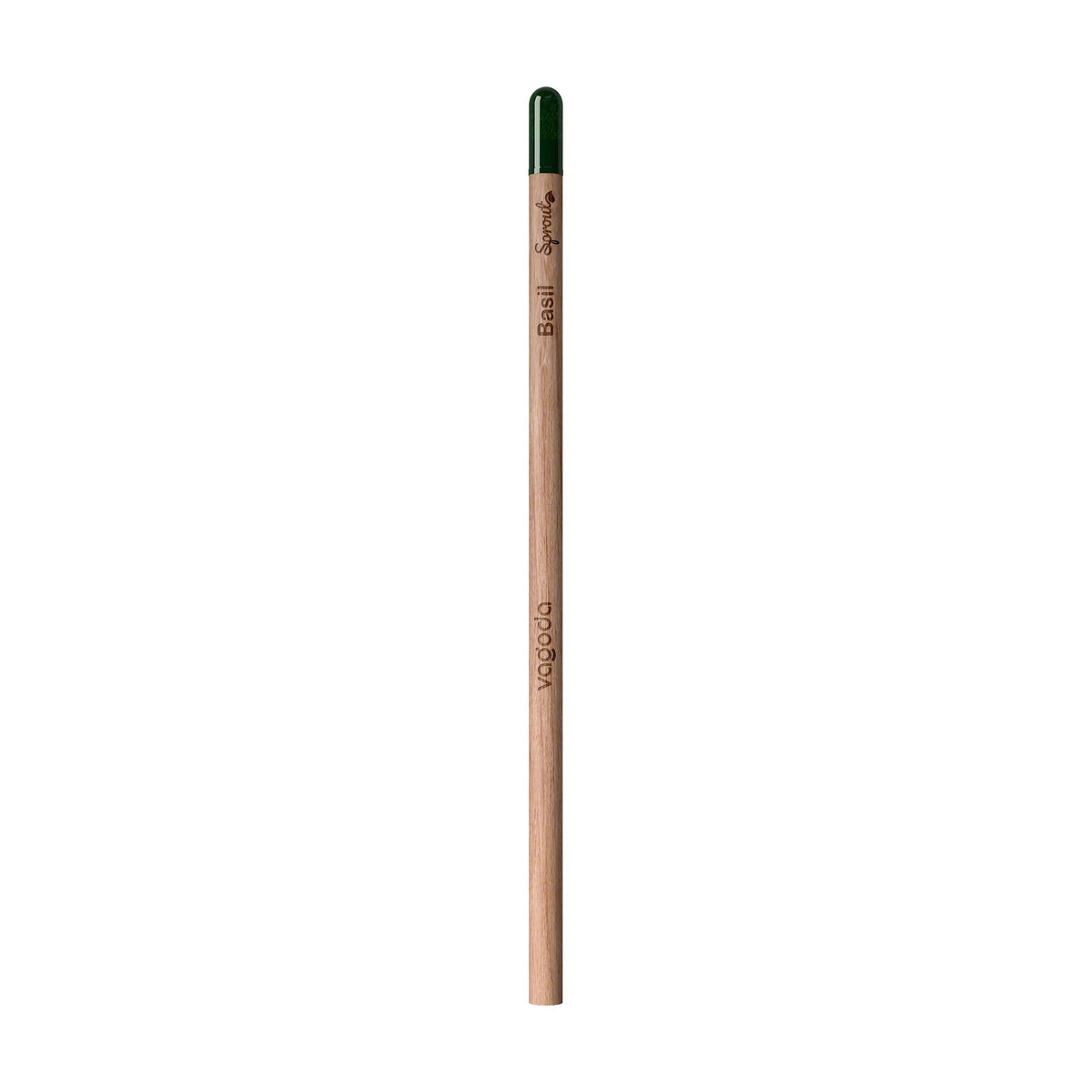 Holz