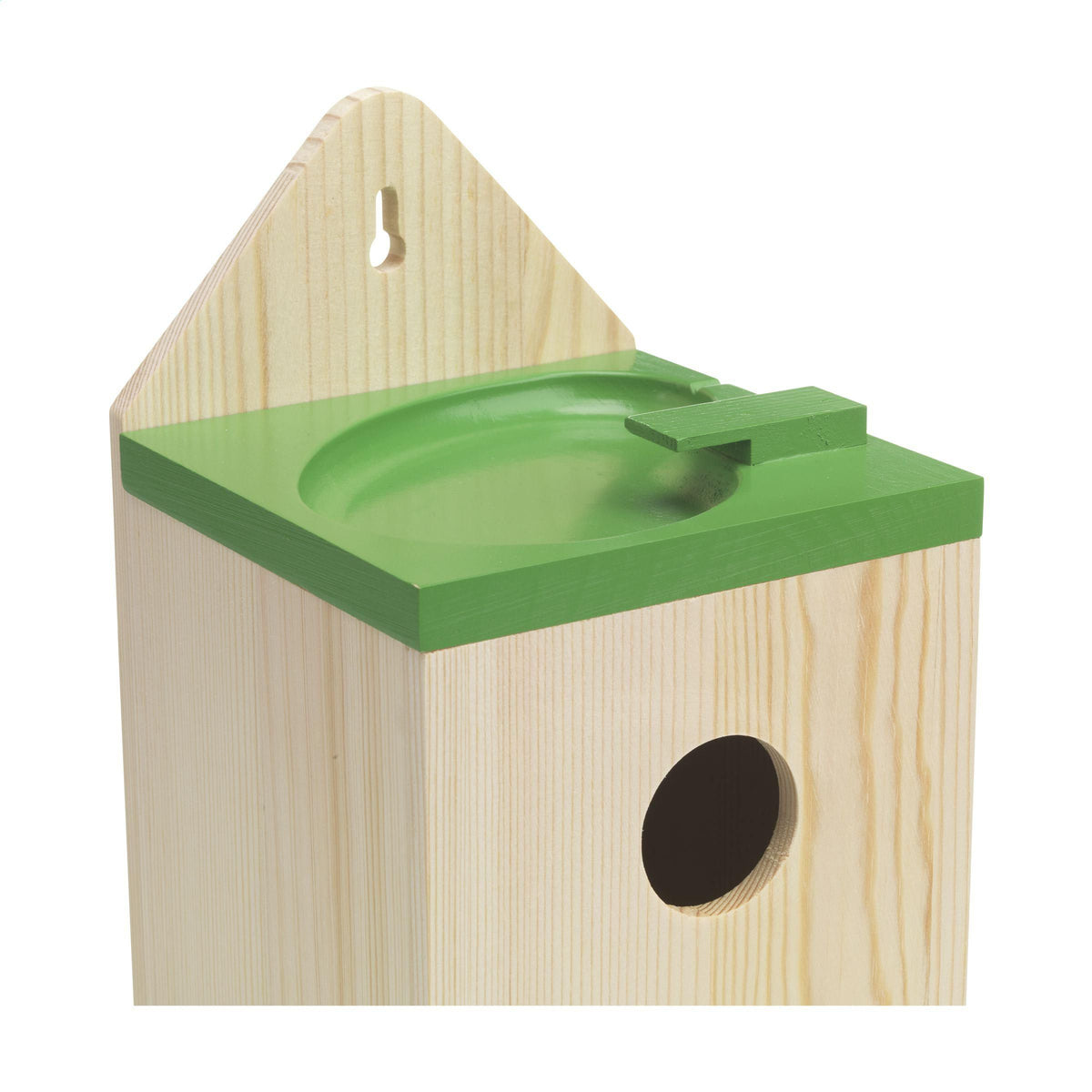 Holz