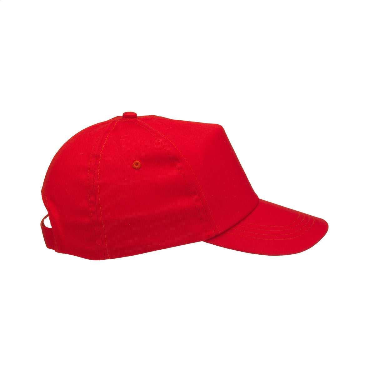 Rot