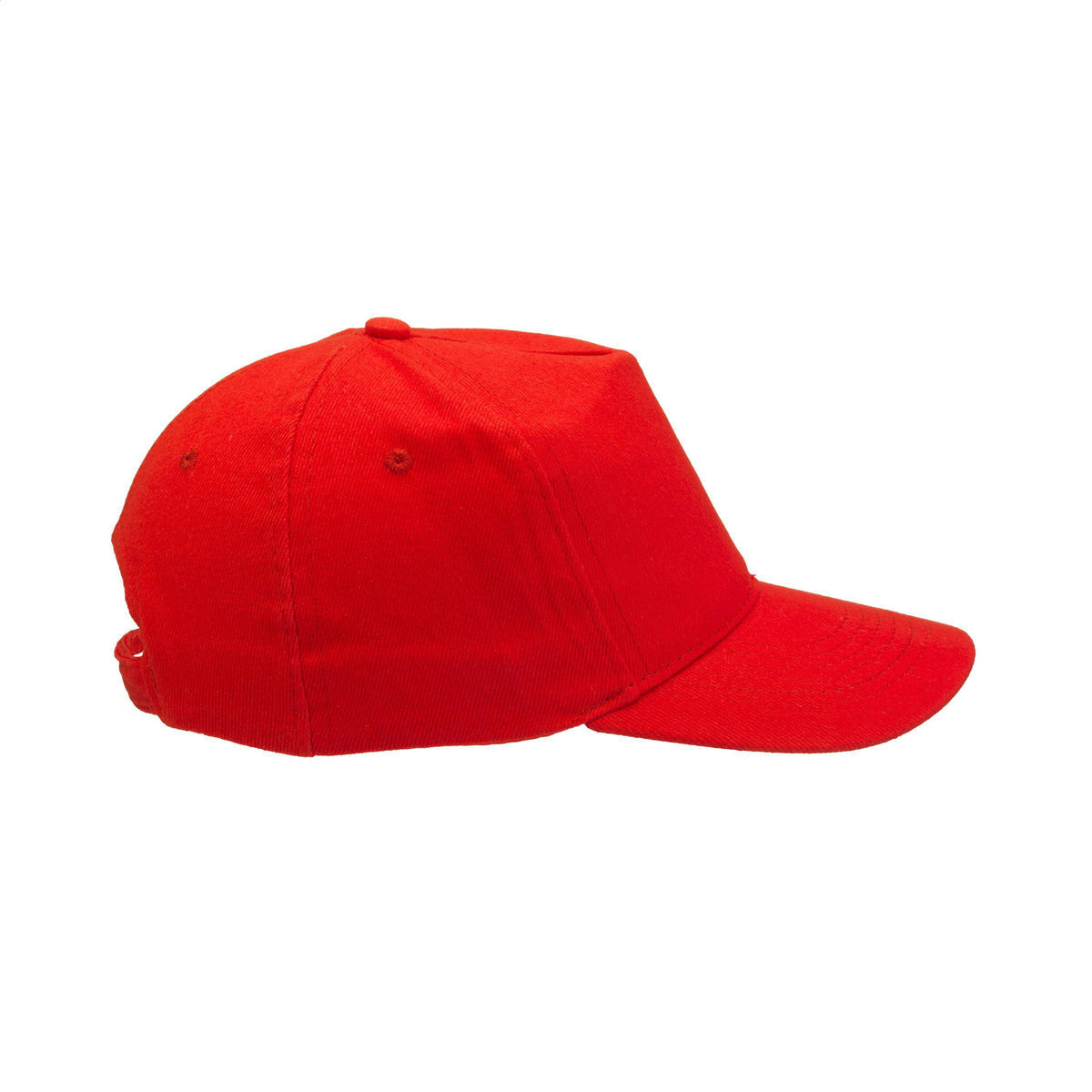 Rot