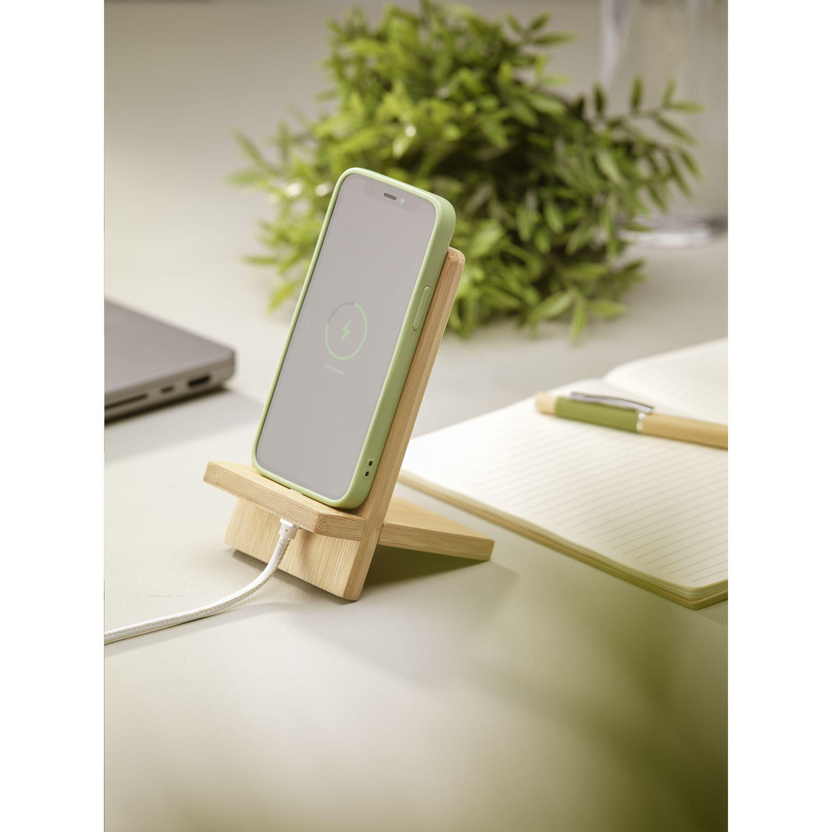 Bambus