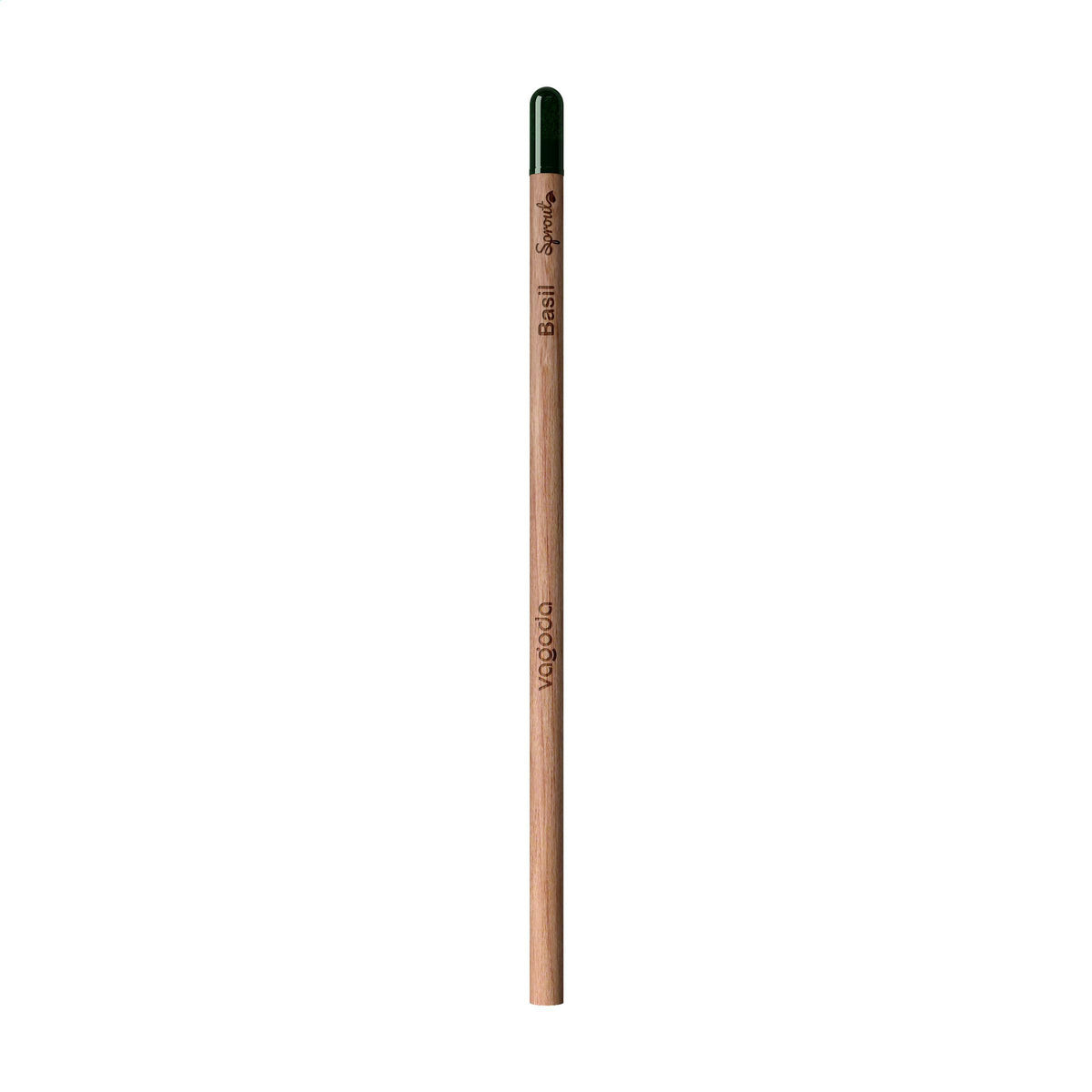 Holz