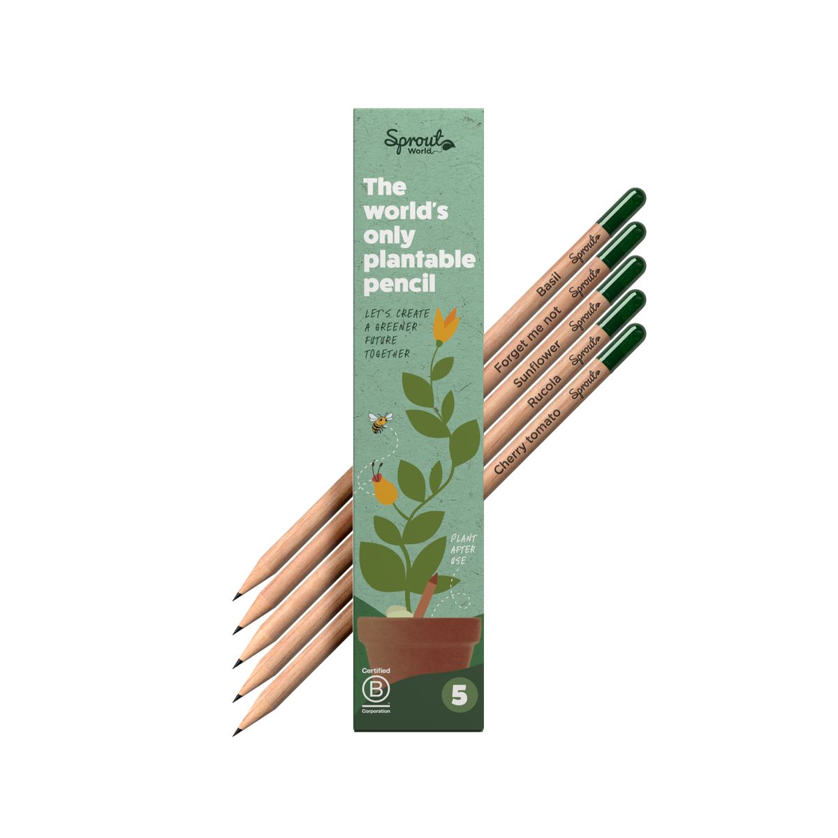 5er Samenstift Set in Papierbox im Standard Verpackung
