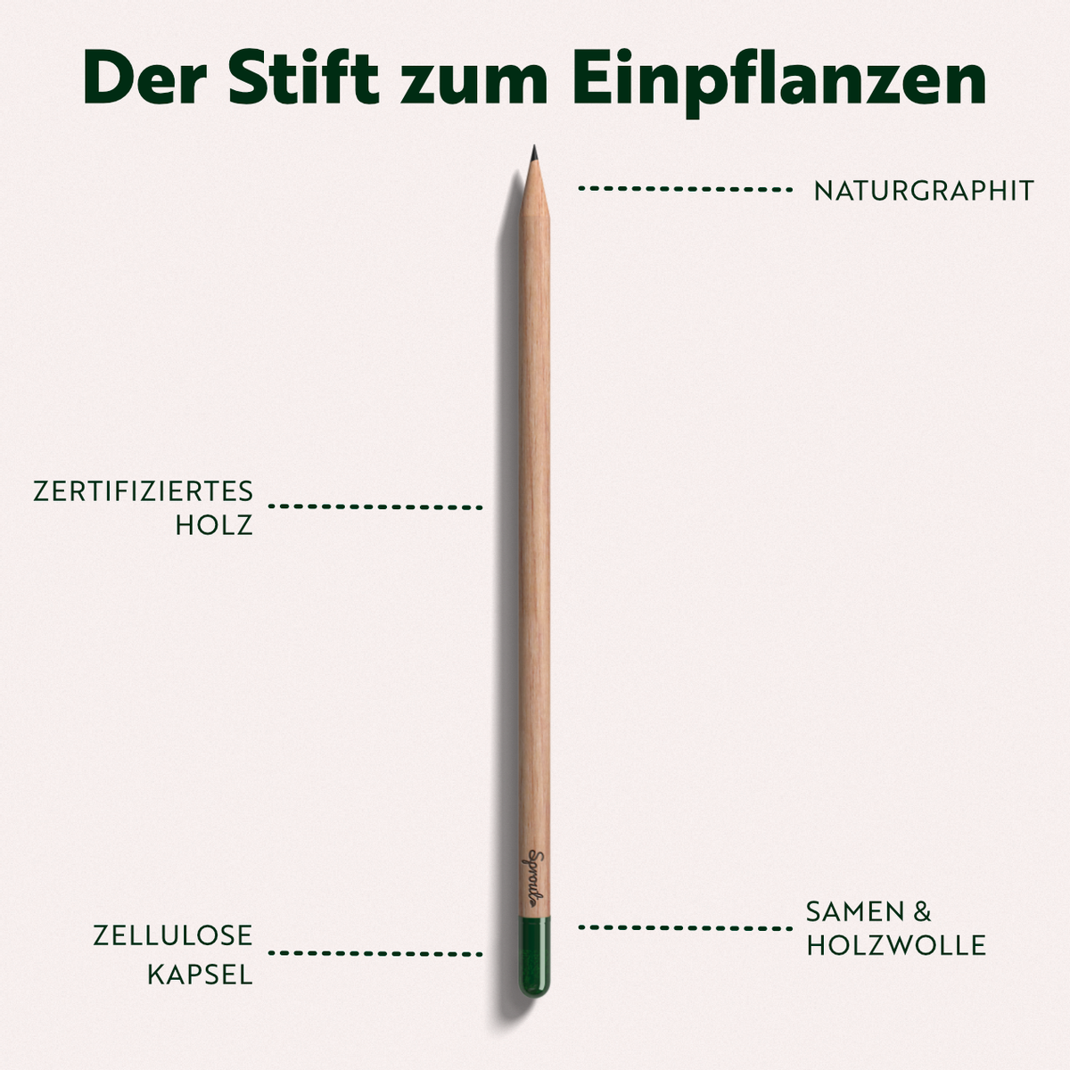 Sprout 1er Bleistift mit Samen in Einsteckhülle (Standardmotiv)