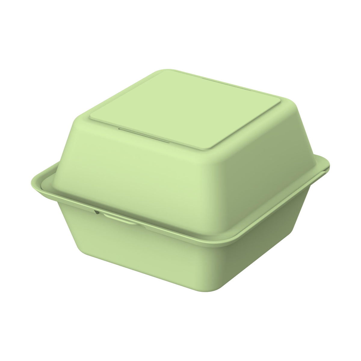 Burgerbox „ToGo“ – Geselliges grün
