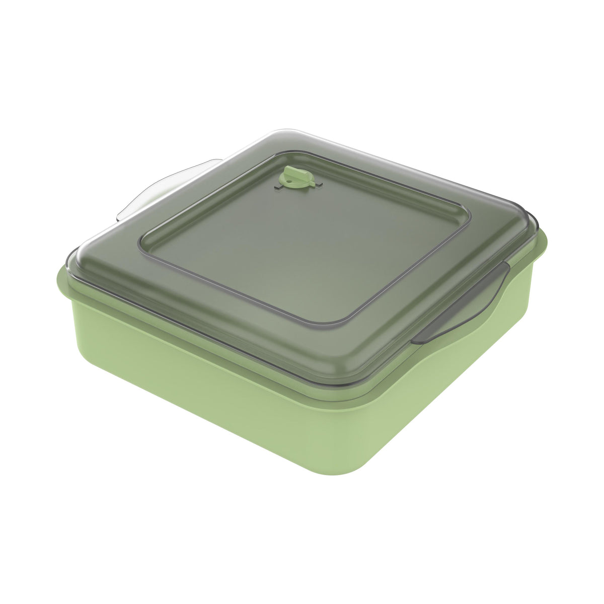 Universalbox „ToGo“ – Geselliges grün / Transparent