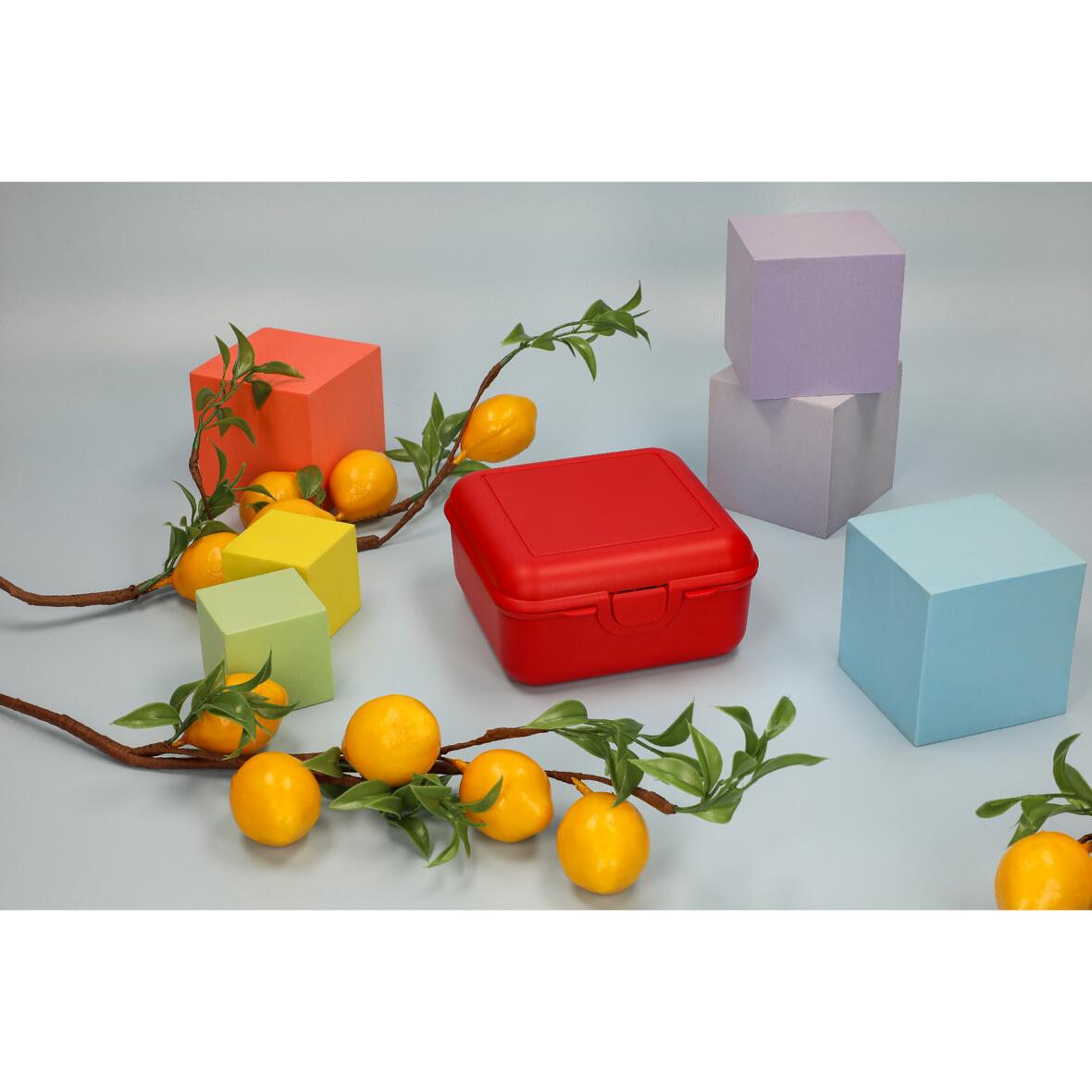 Vorratsdose „Cube“ deluxe, mit Trennschale