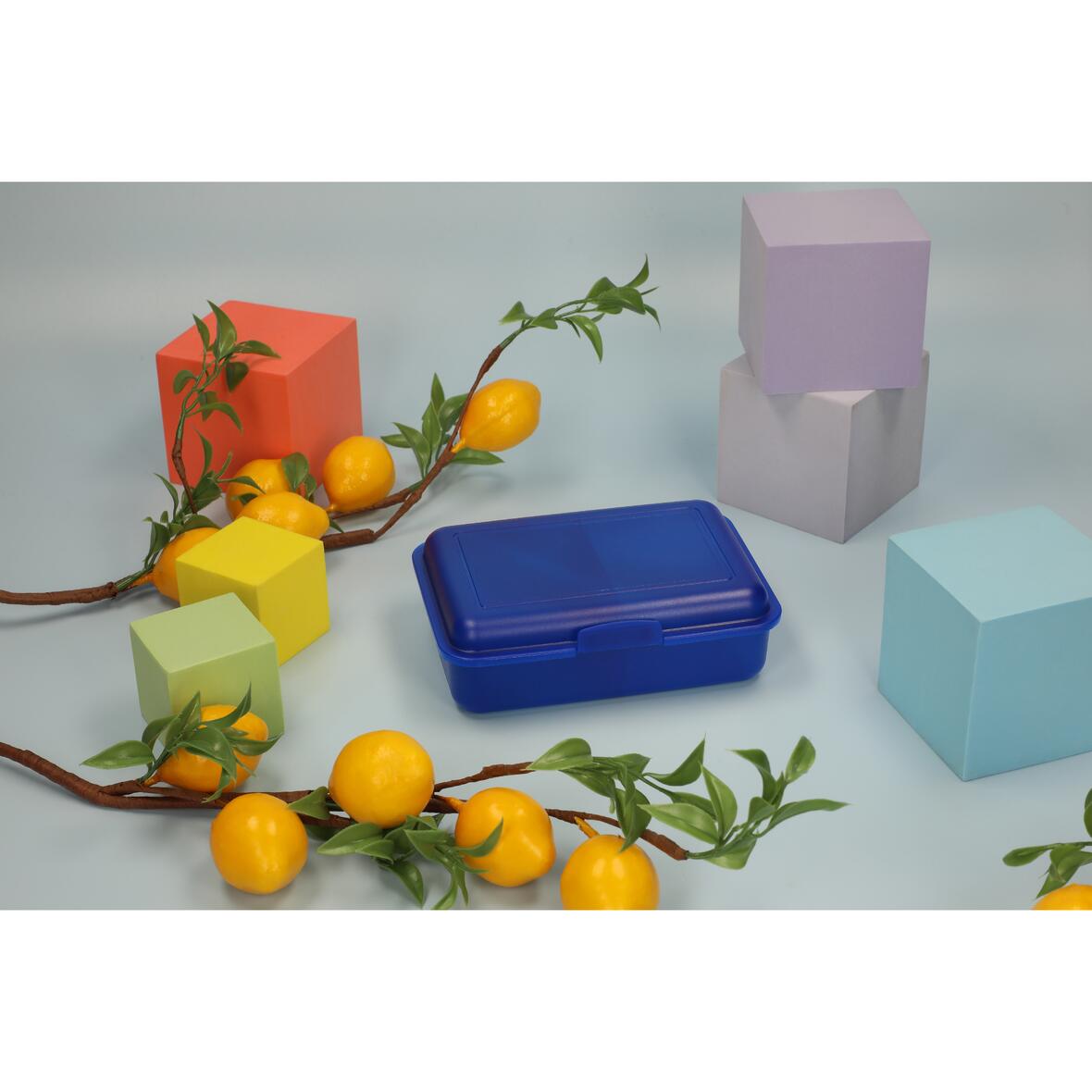 Vorratsdose „School-Box“ mittel mit Trennwand