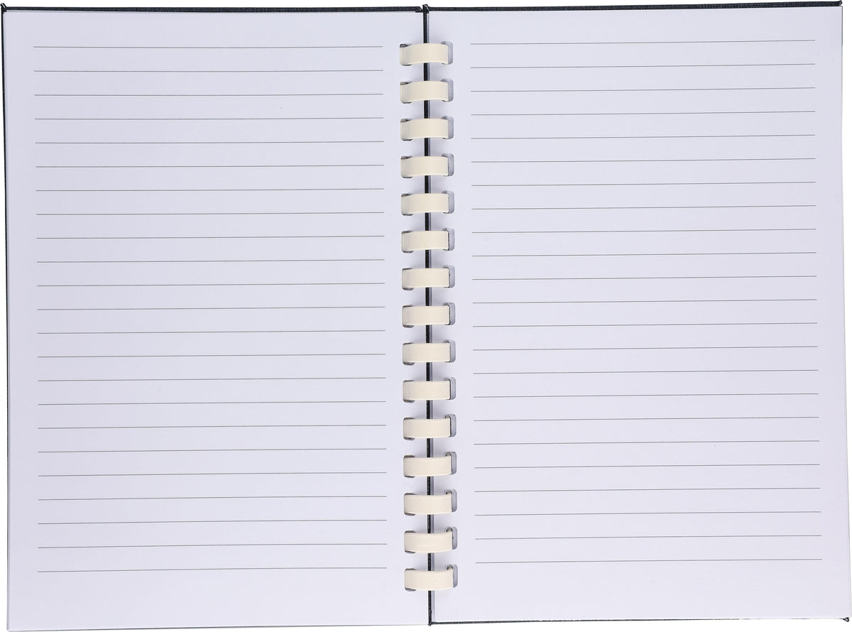 Notizbuch Ilias, PET, A5, Liniert