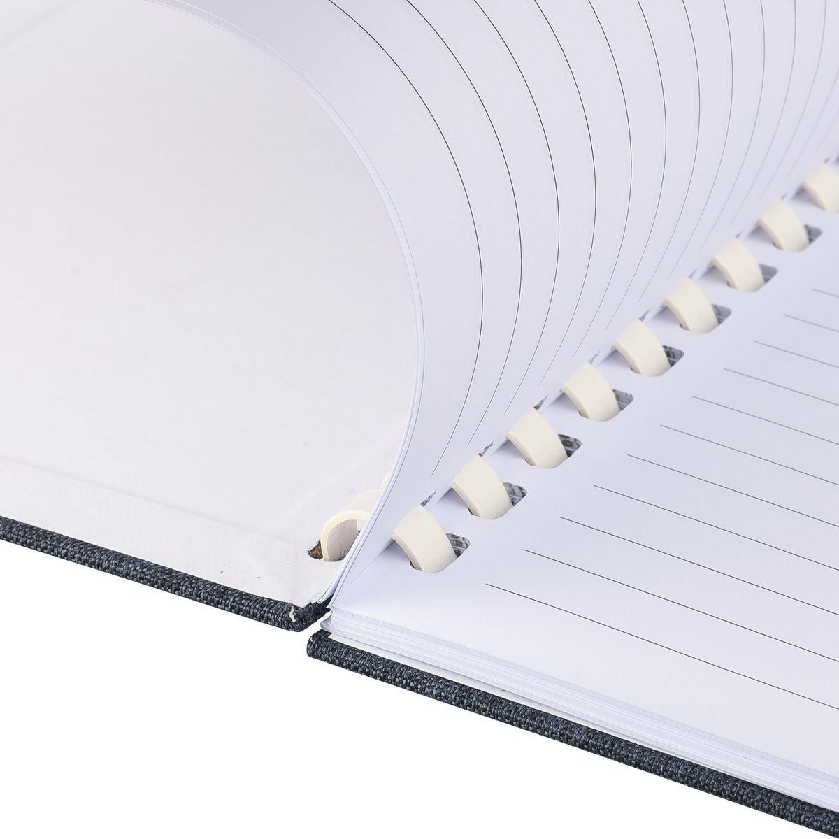 Notizbuch Ilias, PET, A5, Liniert