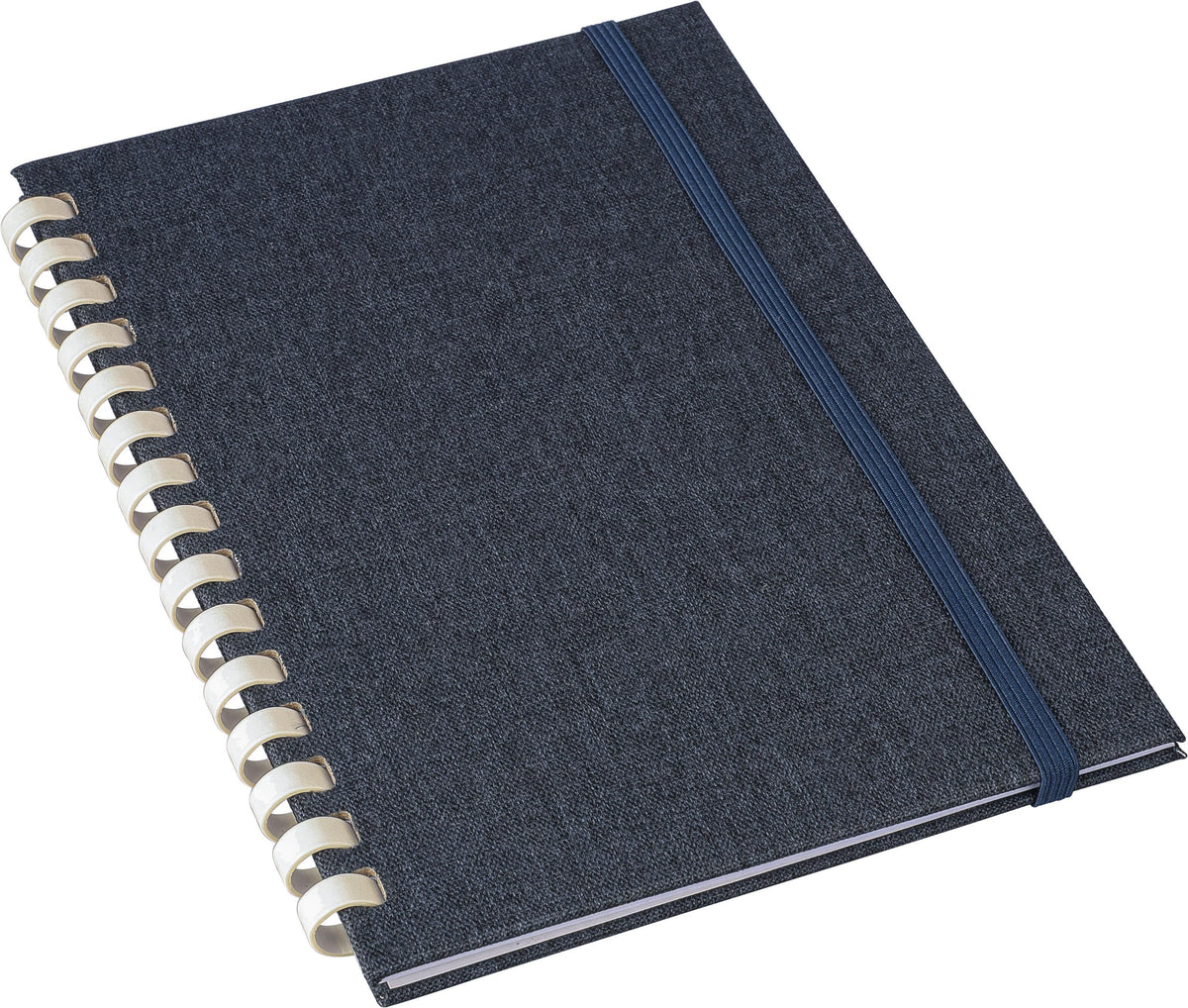 Notizbuch Ilias, PET, A5, Liniert