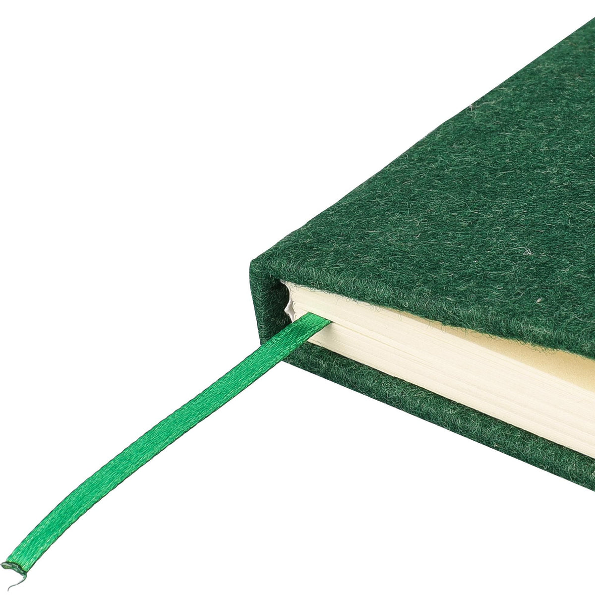 Notizbuch Danio, Filz, A5, Liniert