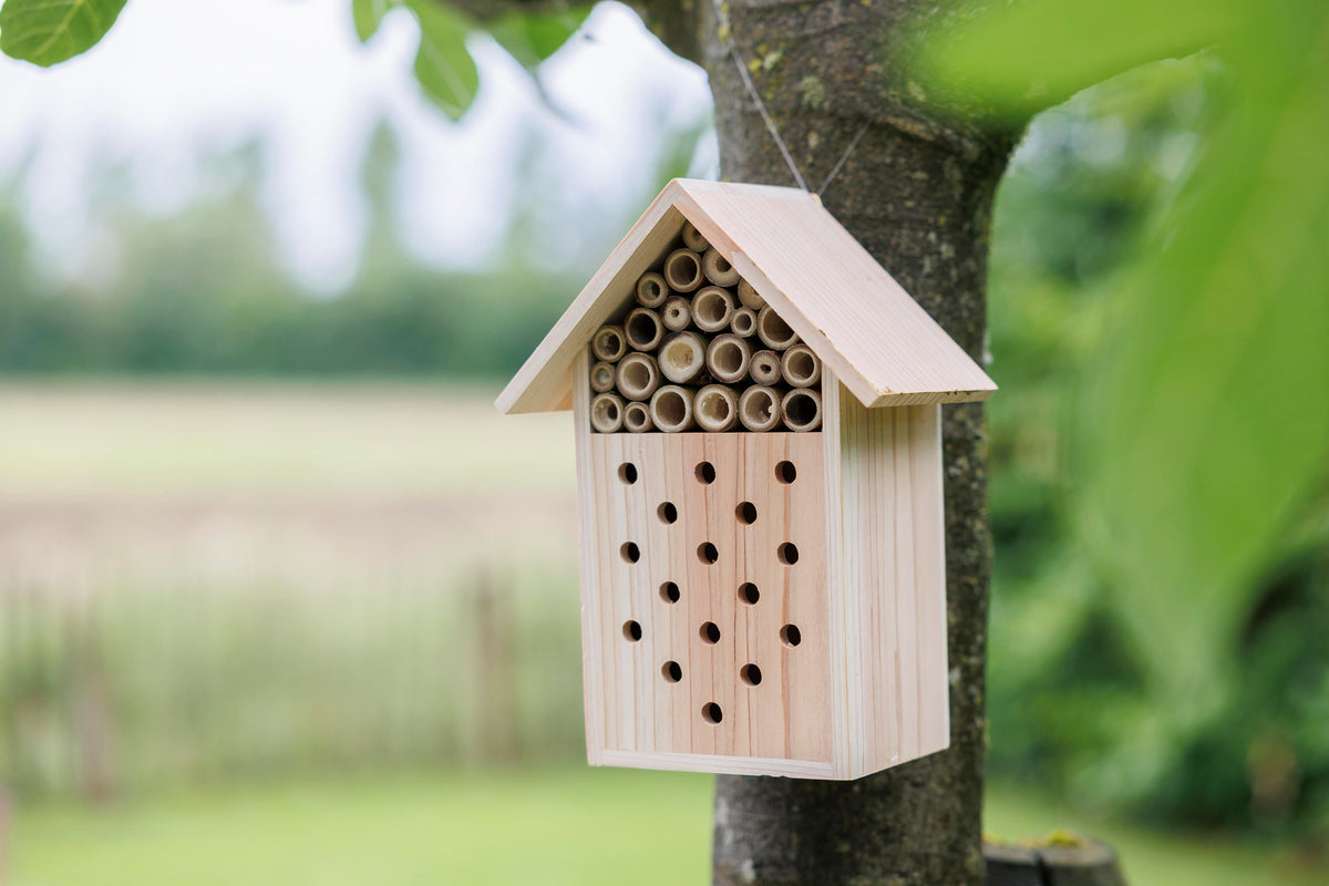 Bienenhaus Fahim, Holz