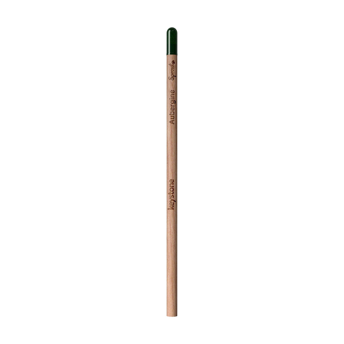 Holz