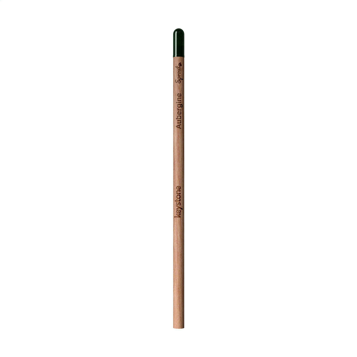 Holz