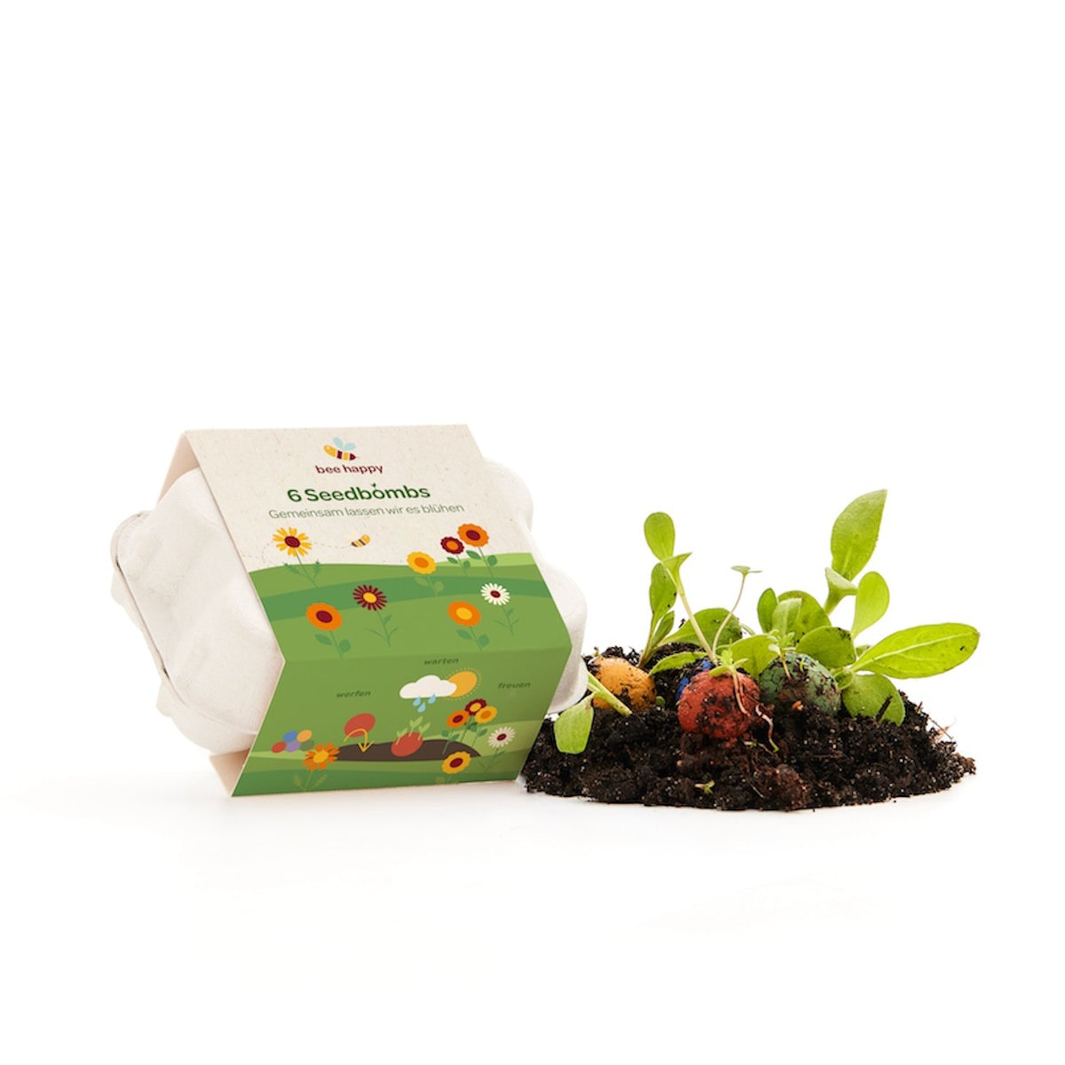 6 Blumenmurmeln im Mini Eierkarton mit bedruckter Banderole – Ansicht