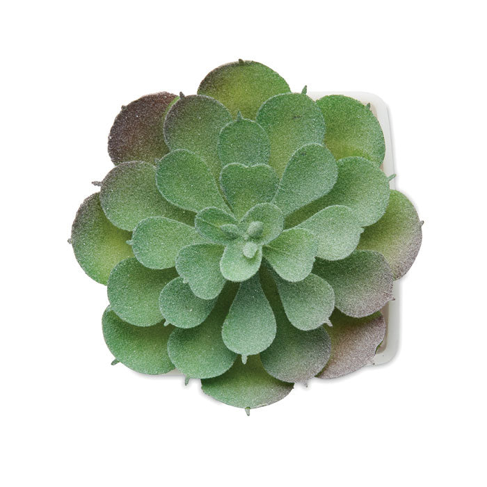 Weiß