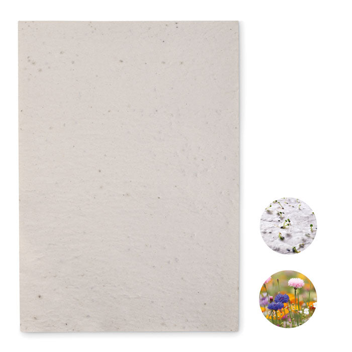 Asidi DIN A4 Wildblumen Samenpapier