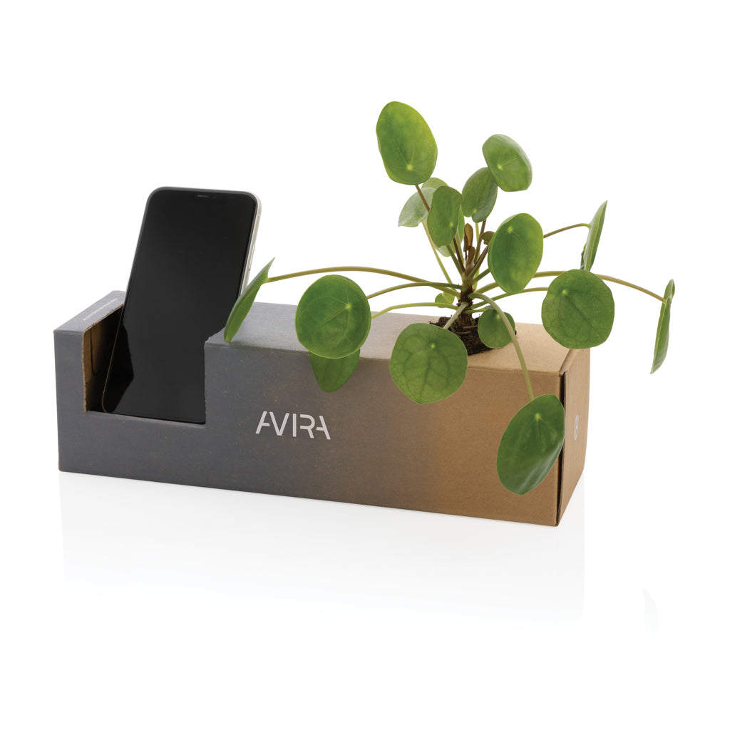Avira Avior RCS recycelte Stainless-Steel Flasche 500ml