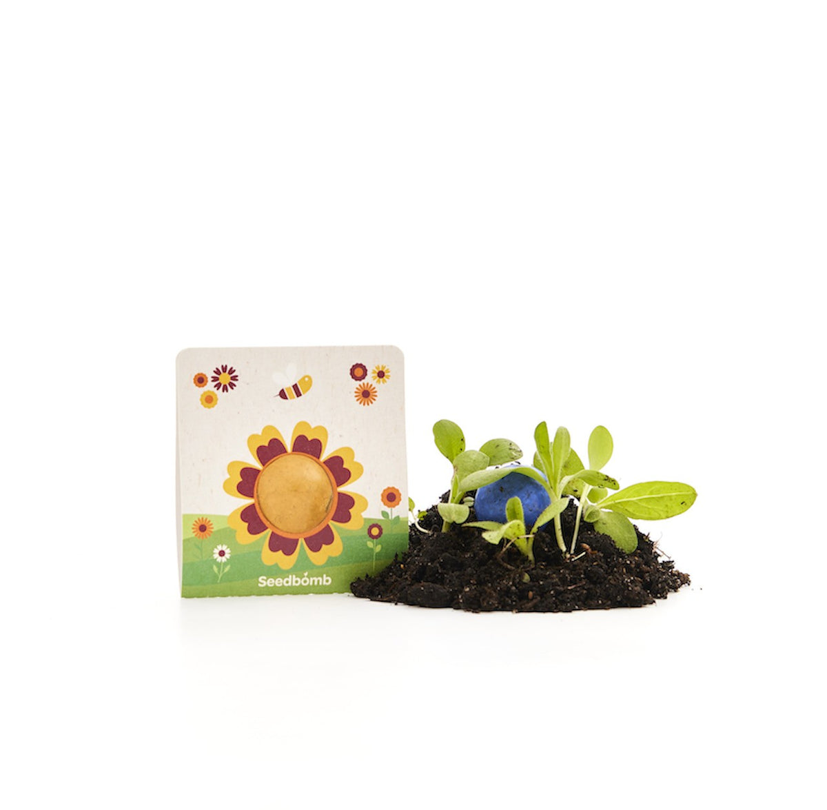 Blumenmurmel auf gefalzter Trägerkarte mit Logo – Detail