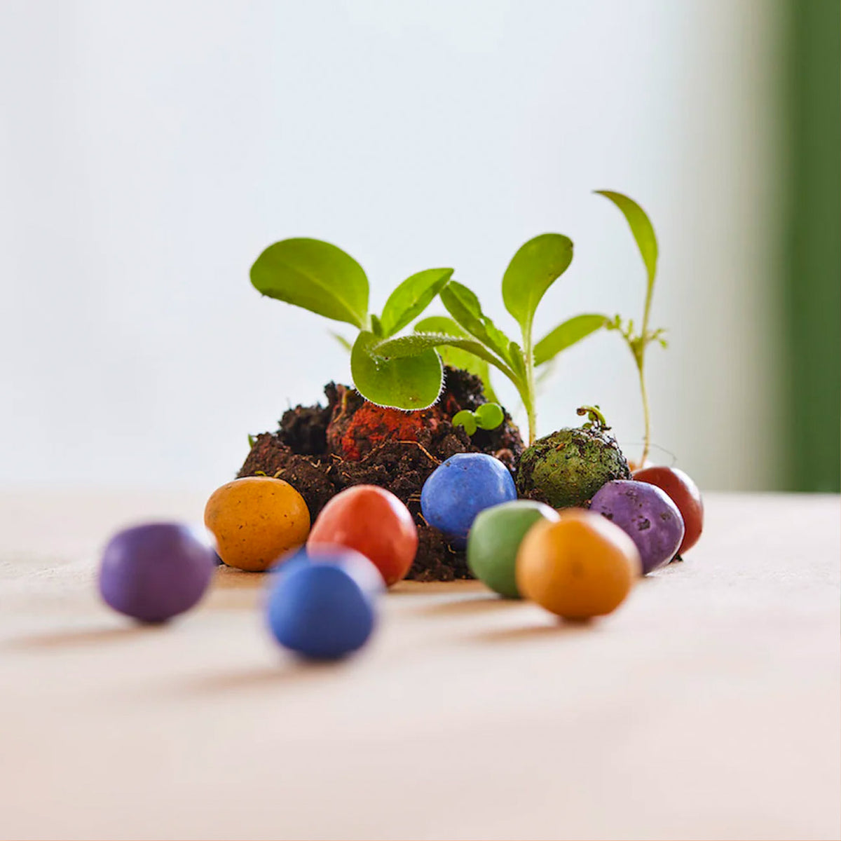 Blumenmurmel zum einpflanzen im bedruckbarem Papierträger