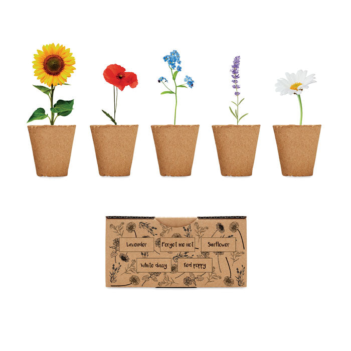 Flowers Saat Set Sommerblumen