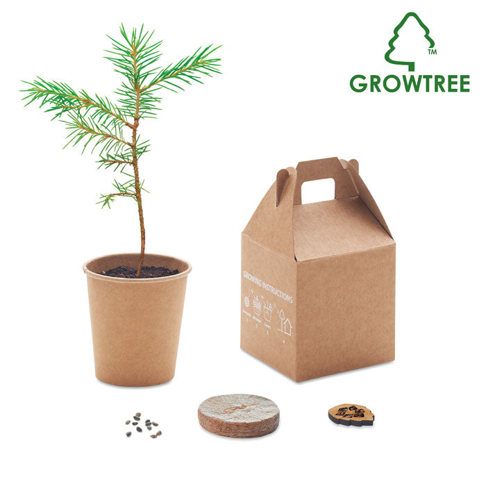 Growtree™ Kiefernsamen Set