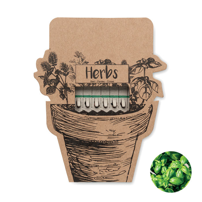 Leyti Kräutersamen Sticks
