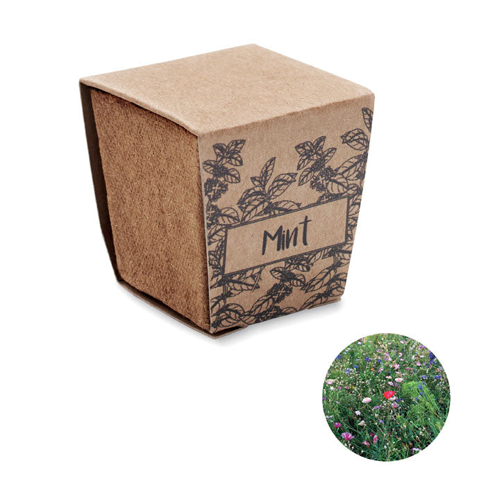 Mint Kit Pflanz Set Minze
