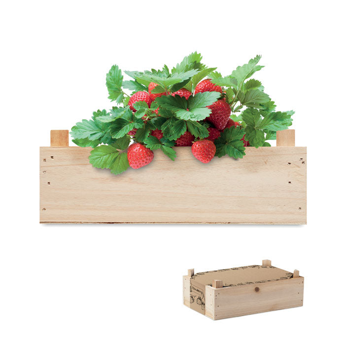 Strawberry Saat Set Erdbeere