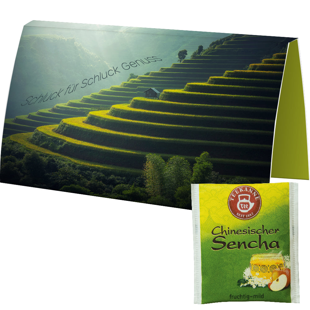 Teeauswahl in der Werbekarte A6 gefaltet – Beuteltee Chinesischer Sencha, ca. 1,75 g