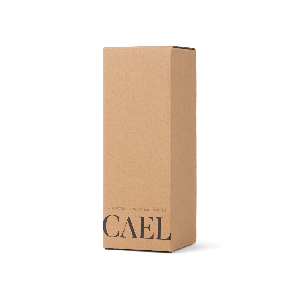 VINGA Cael RCS Stainless-Steel Trinkflasche 600ml