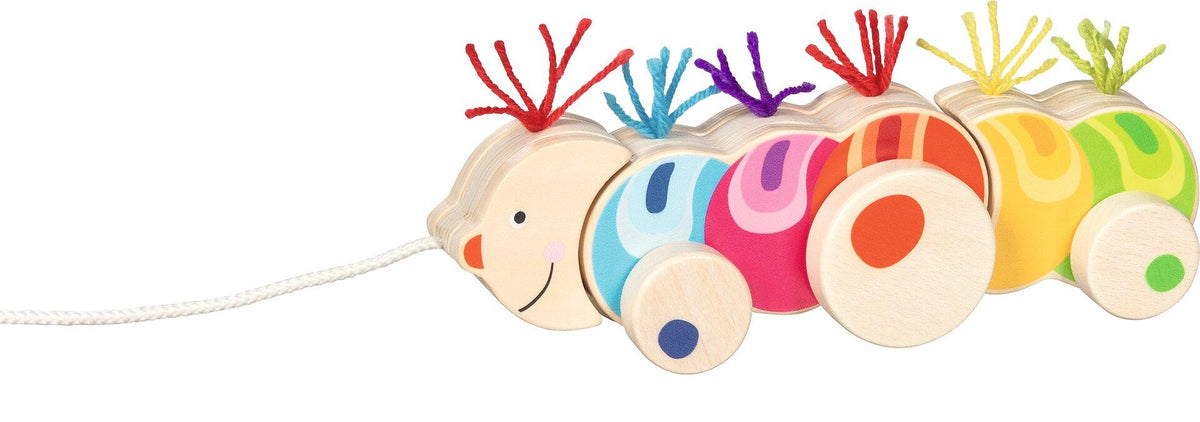 Ziehtier Raupe Papilio mit bunten Büscheln – Ansicht